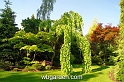 wbgarden spring 2